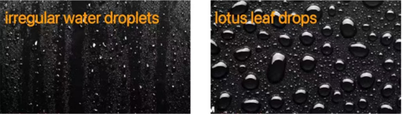 The secret of the hydrophobic layer of the protective film (4)